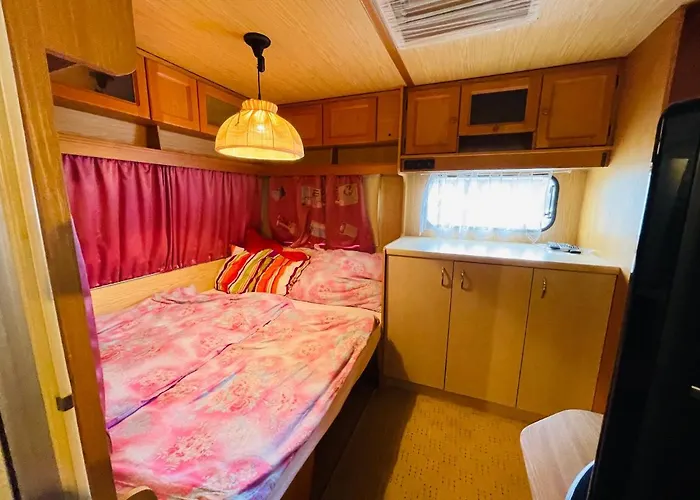 Kamp alanı House Relax With Card For Term 3000 *